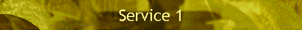 Service 1